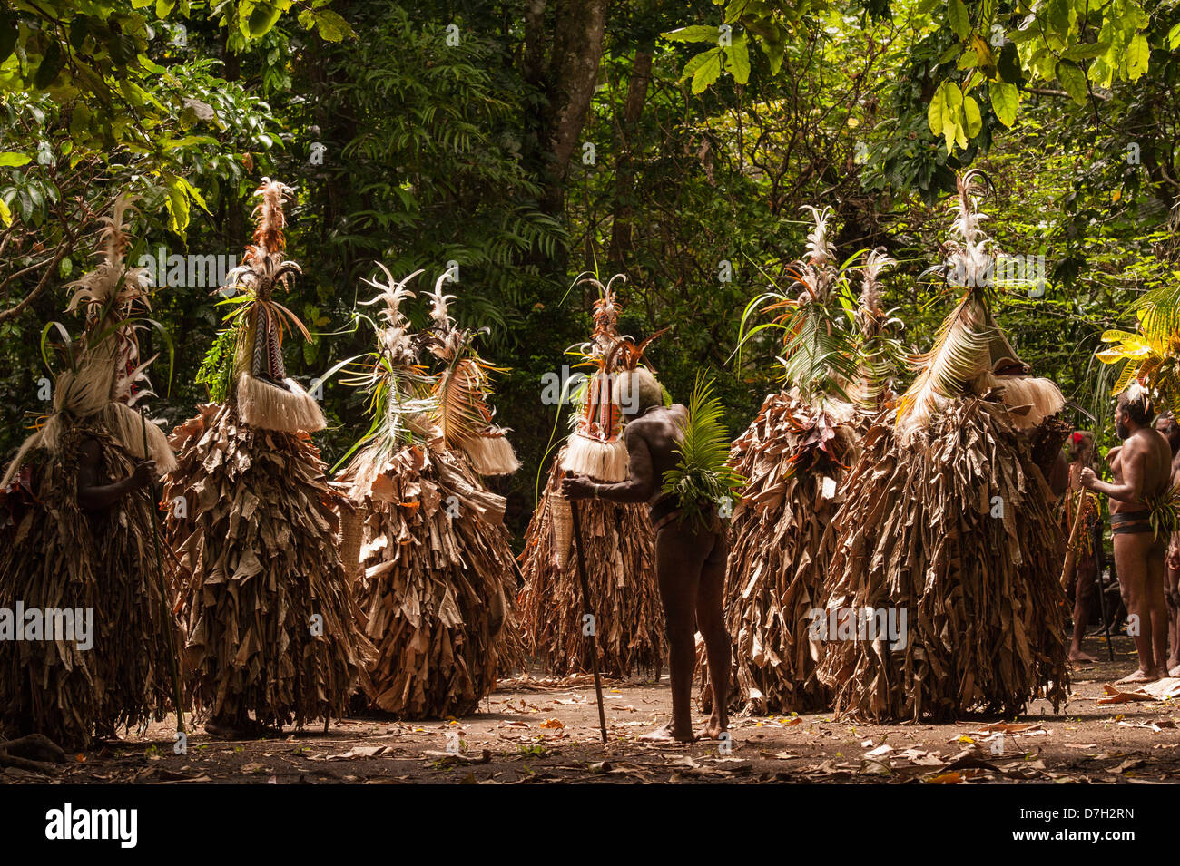 Rom ballerini dell'ultimo giorno di Ambrym annuali di Torna al mio Roots Festival della cultura tradizionale, Vanuatu Foto Stock