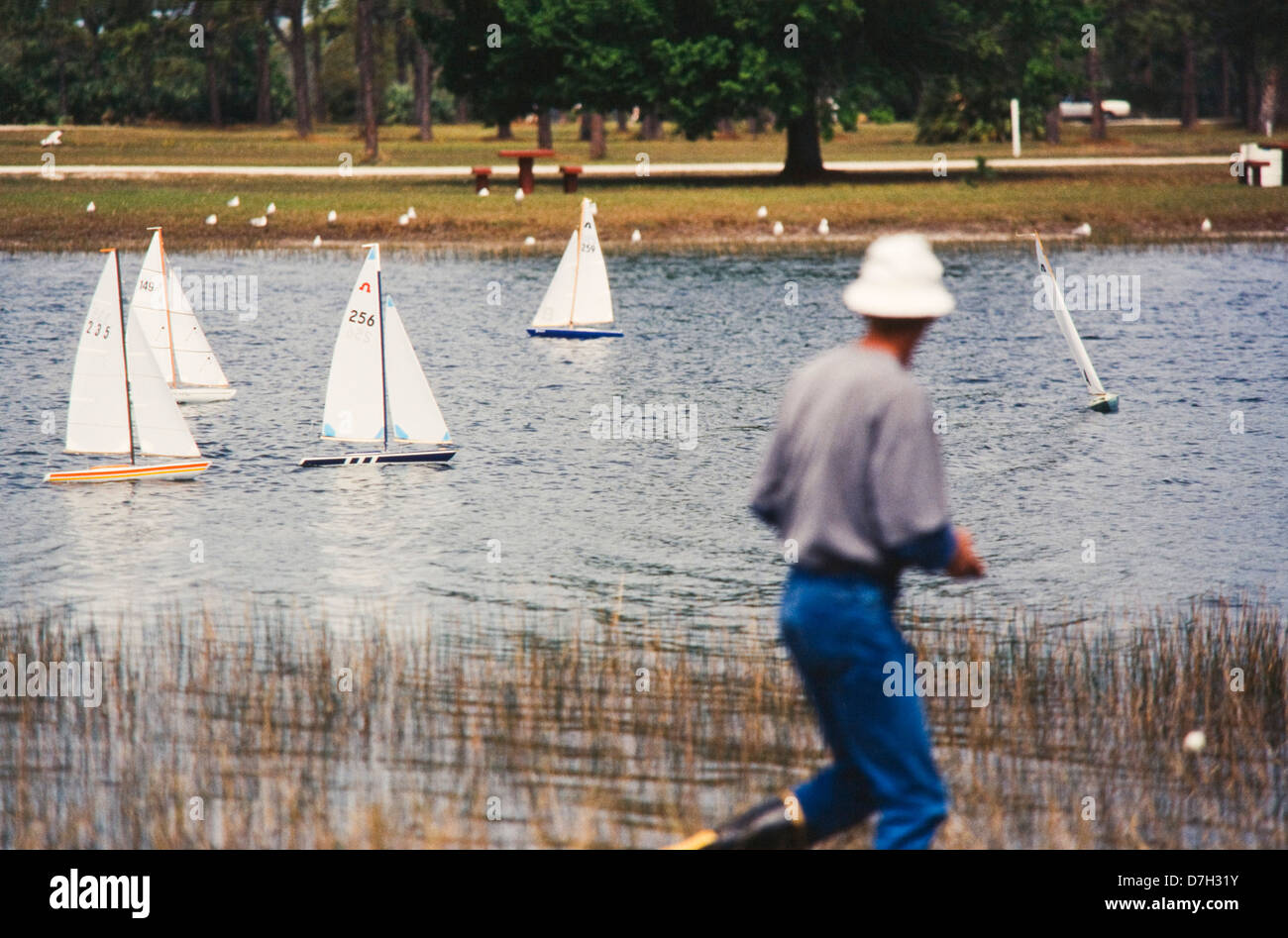 Radio contralled barche a vela club racing Miami Foto Stock
