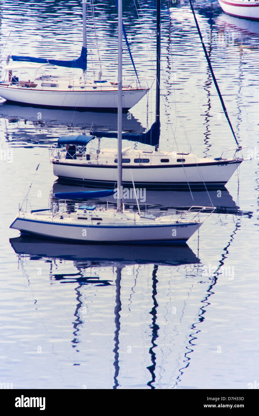 Barche a vela all'ancoraggio, la Baia di Biscayne, Miami, Florida Foto Stock