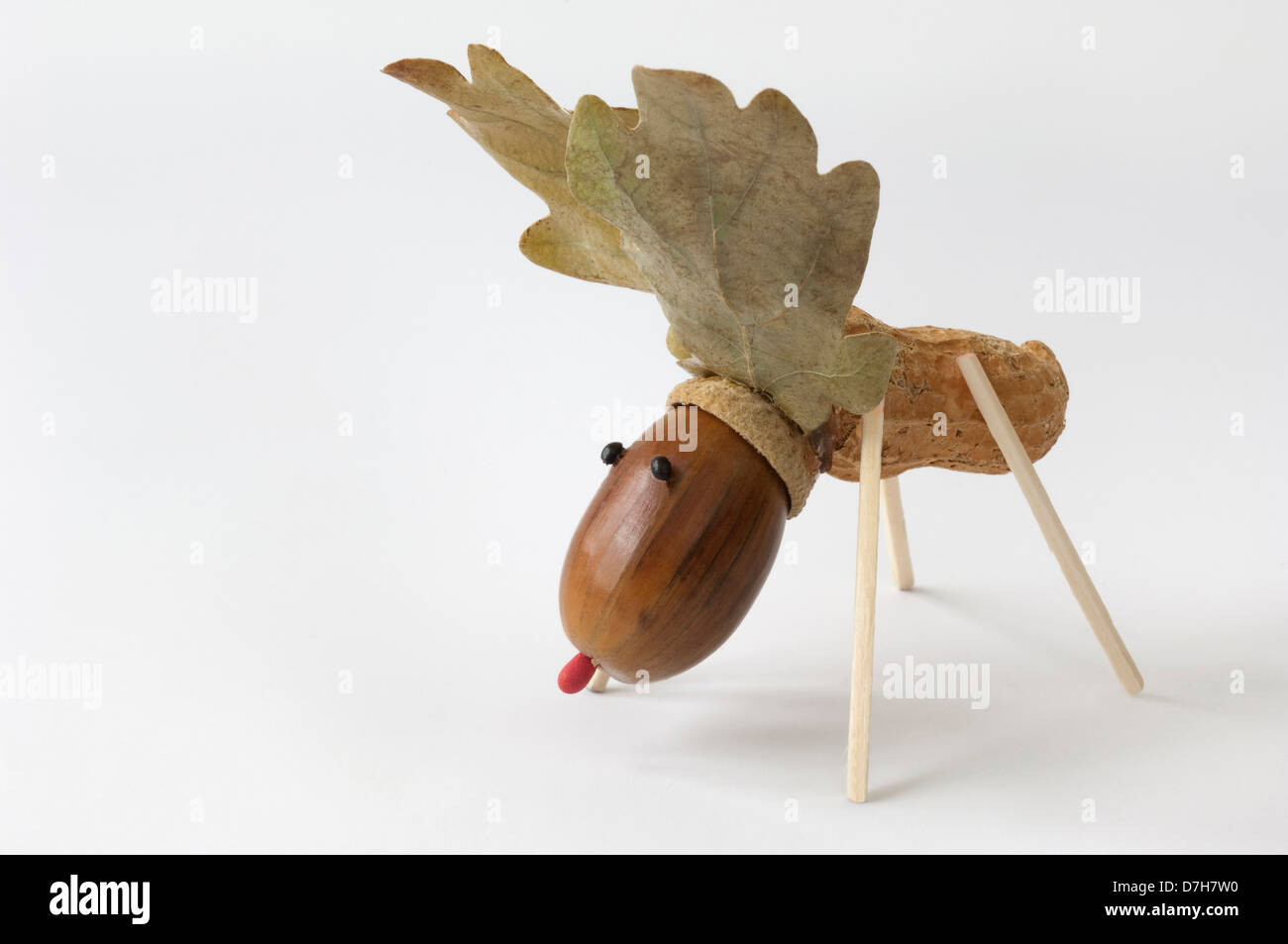 La figura animale alce fatta di ghiande di foglie di quercia di arachidi foto Studio contro uno sfondo bianco Foto Stock