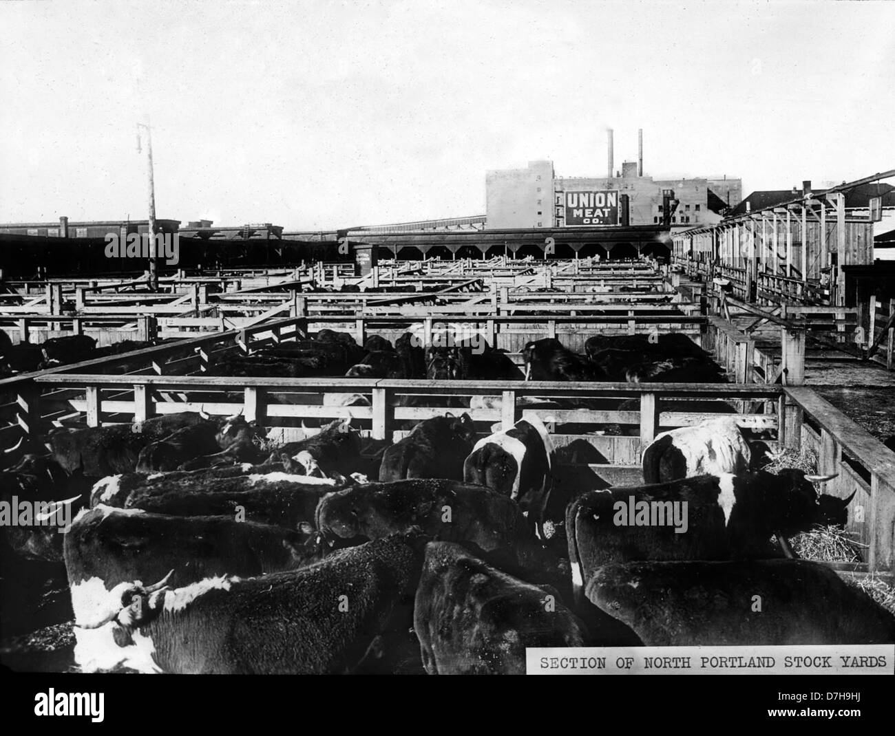 Questa fotografia d'archivio del 1925 mostra una sezione dei cantieri di North Portland, parte della Oregon Industries. Fornisce uno sguardo alle pratiche industriali e agricole dell’era, evidenziando l’importanza dei depositi nell’economia della regione. Foto Stock