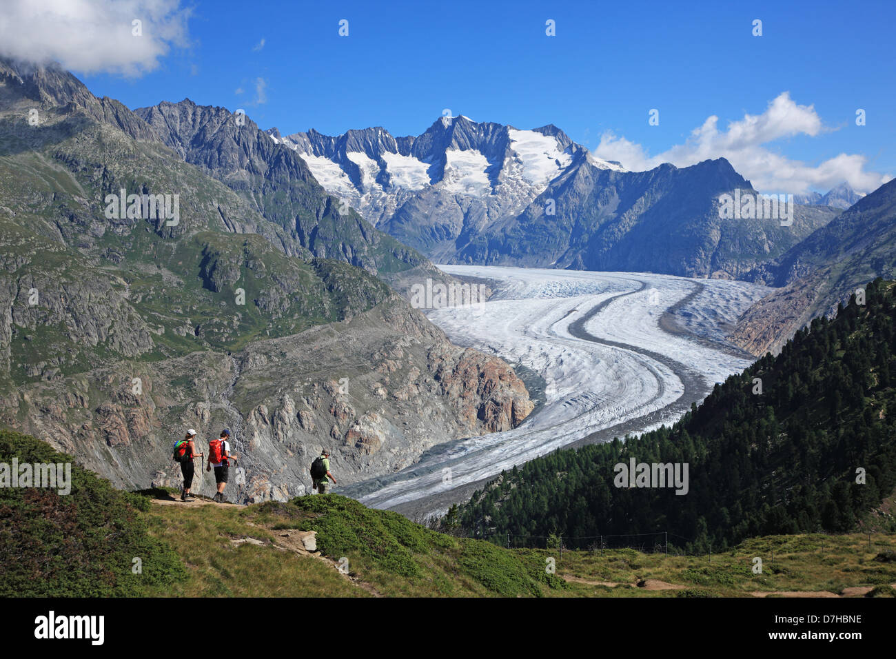 La Svizzera, Canton Vallese e la Valle del Rodano, Alpi Svizzere Aletsch ghiacciai, patrimonio mondiale dell UNESCO Foto Stock