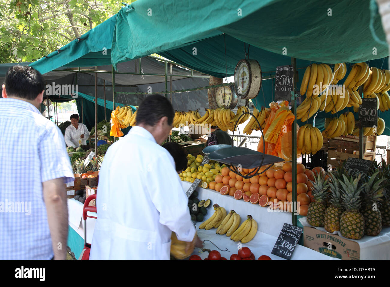 Santiago de Cile Bellavista Ufer Rio Mapocho market Foto Stock