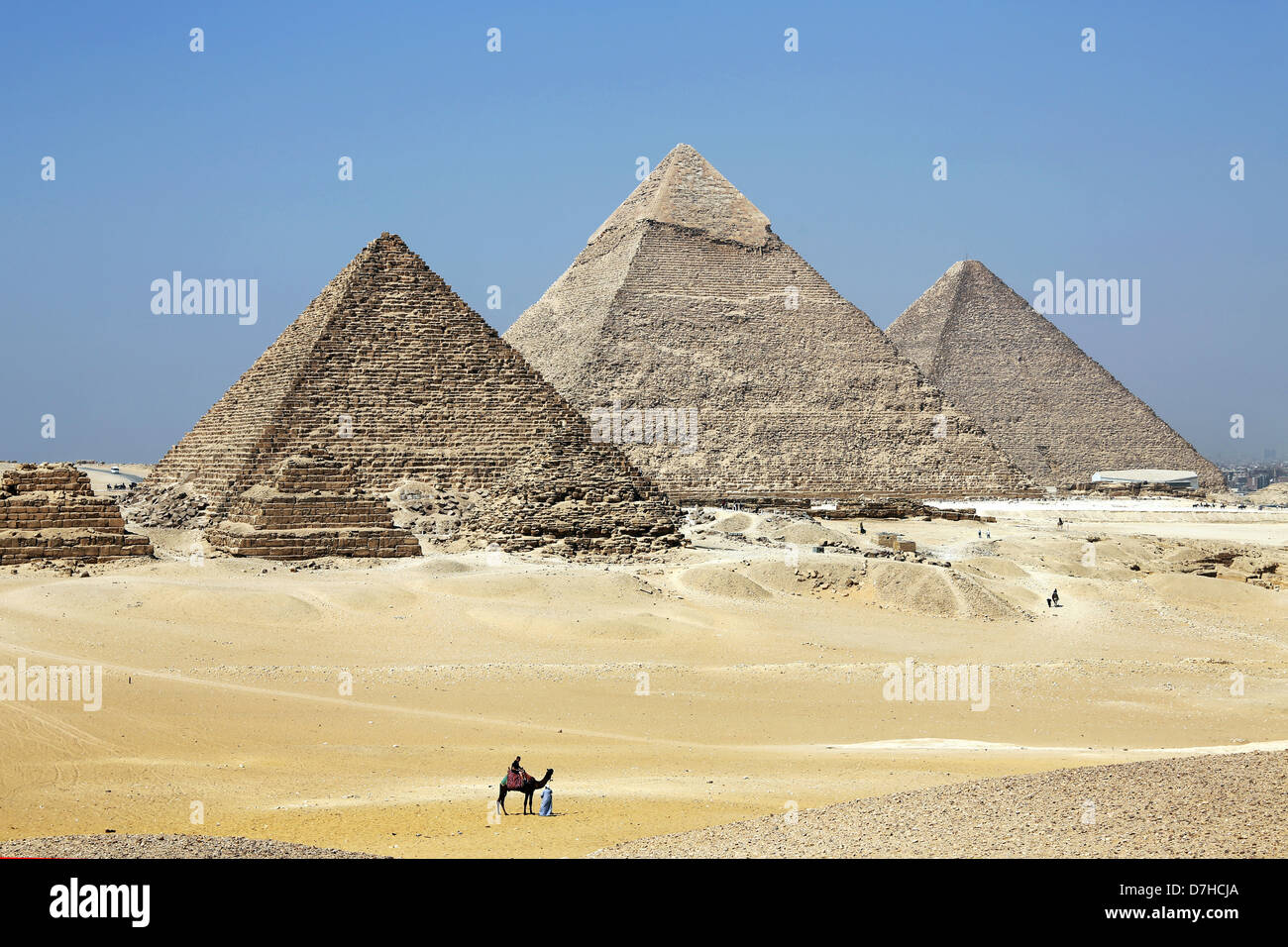 I driver di cammello davanti alle Piramidi di Giza, Cairo, Egitto Nord Africa Foto Stock