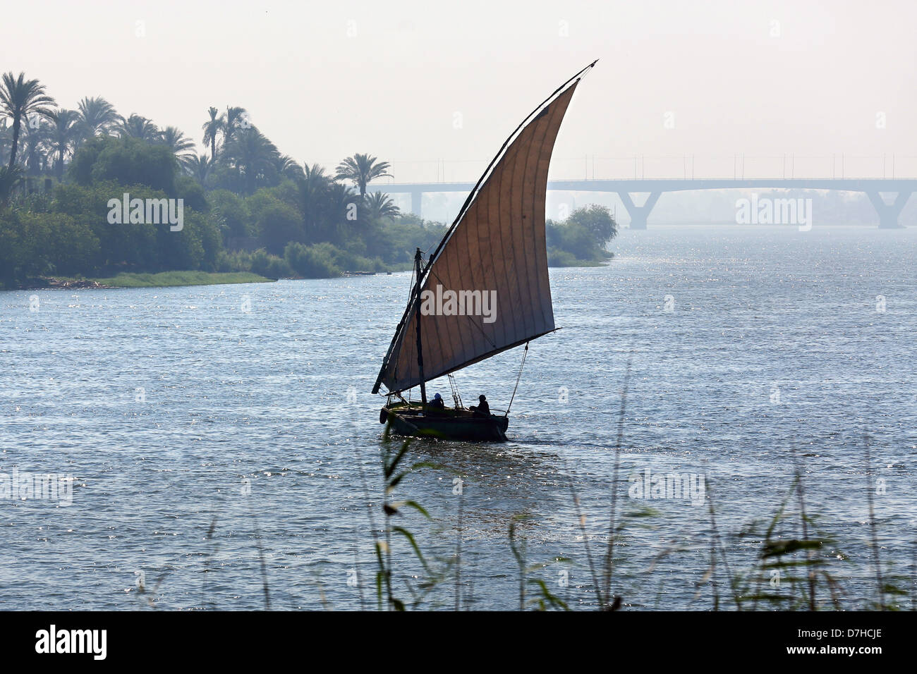 Felucca barca a vela sul fiume Nilo vicino Assiut, Alto Egitto Foto Stock