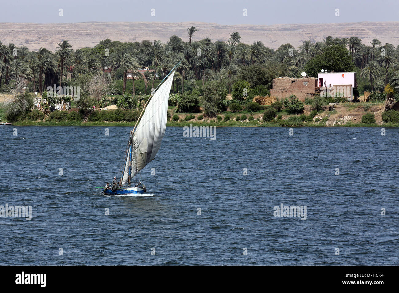 Felucca barca a vela sul fiume Nilo vicino Assiut, Alto Egitto Foto Stock