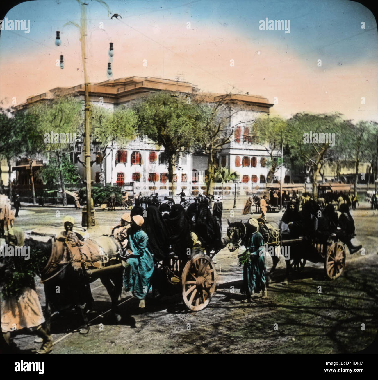 Questa foto illustra una tipica scena di strada al Cairo, in Egitto, che mostra la vita locale e l'atmosfera vivace della città. L'immagine cattura le attività quotidiane in una delle città più storiche del mondo. Foto Stock