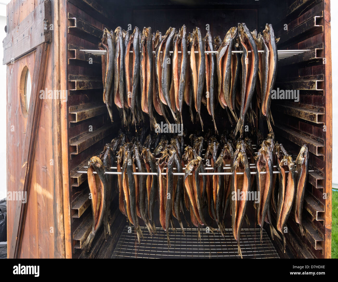 Pesce affumicato in un mobile capanna di fumo. Fotografato al Festival di cibo e bevande a Leyburn, North Yorkshire Foto Stock