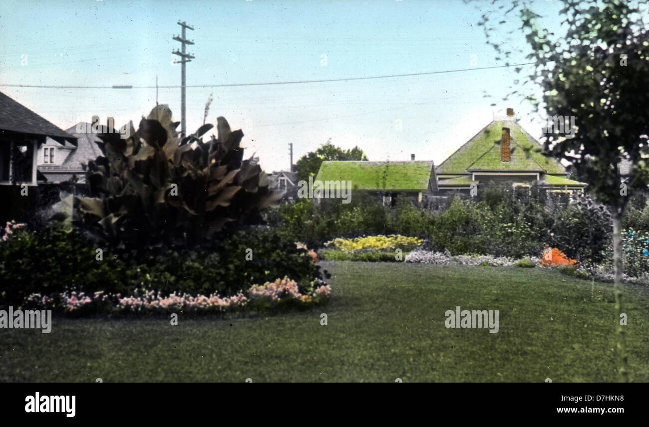 Questa fotografia mostra un confine annuale di fiori in un cortile di Medford, Oregon, che mostra i colori vivaci e la disposizione delle piante coltivate nella regione. Foto Stock