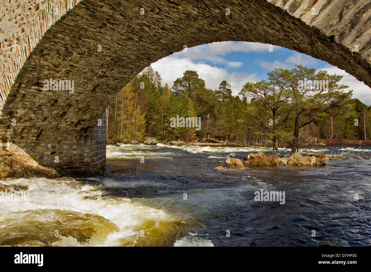 Un arco della vecchia BRIG O DEE che attraversano il fiume Dee A INVERCAULD ABERDEENSHIRE Foto Stock