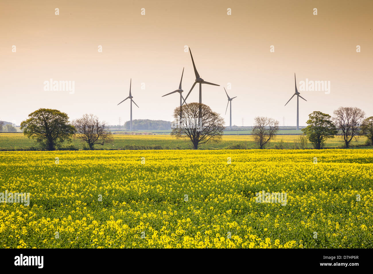 Moderne turbine eoliche nelle campagne rurali, che mettono in risalto la tecnologia delle energie rinnovabili e la generazione di energia sostenibile in un ambiente naturale. Foto Stock