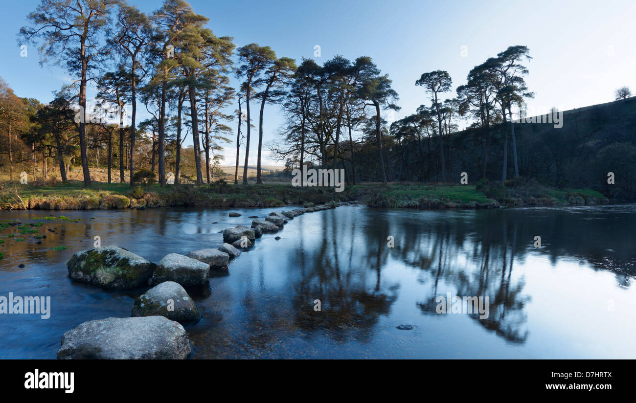 Pietre miliari attraverso il West Dart River. Parco Nazionale di Dartmoor. Devon. In Inghilterra. Regno Unito. Foto Stock