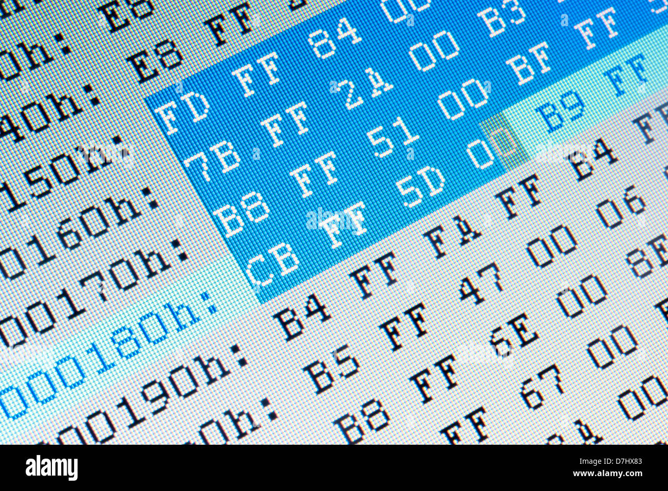 I dati esadecimali vicino sul computer monitor LCD Foto Stock