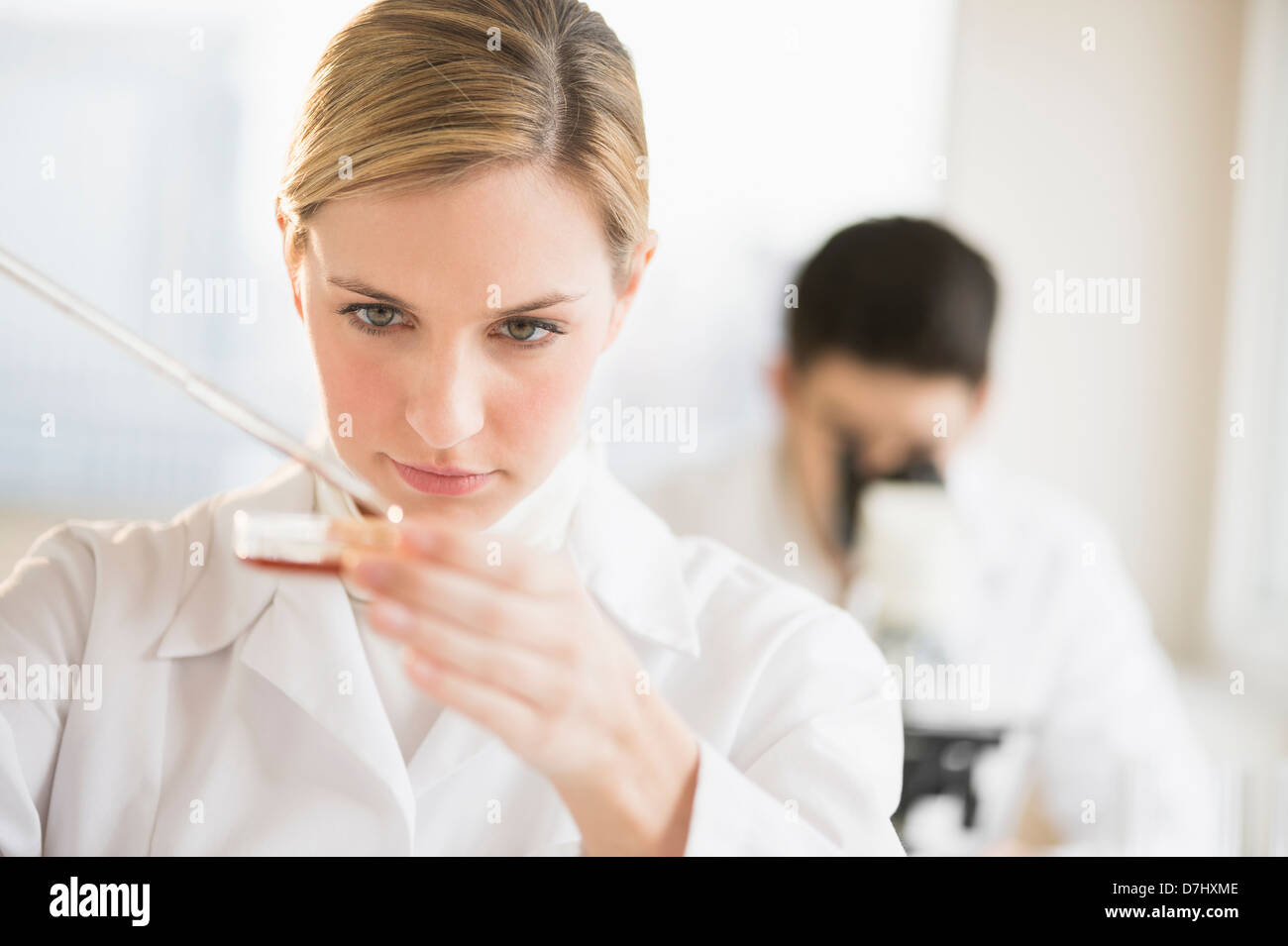Scienziato usando una pipetta e capsula di petri Foto Stock