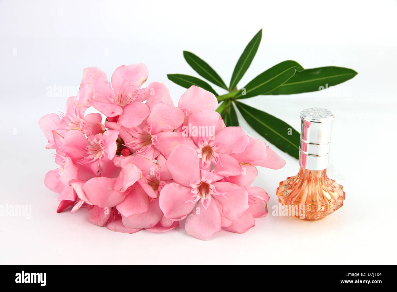 Bouquet di luce fiori di rosa e arancio bottiglie di profumo sullo sfondo bianco. Foto Stock