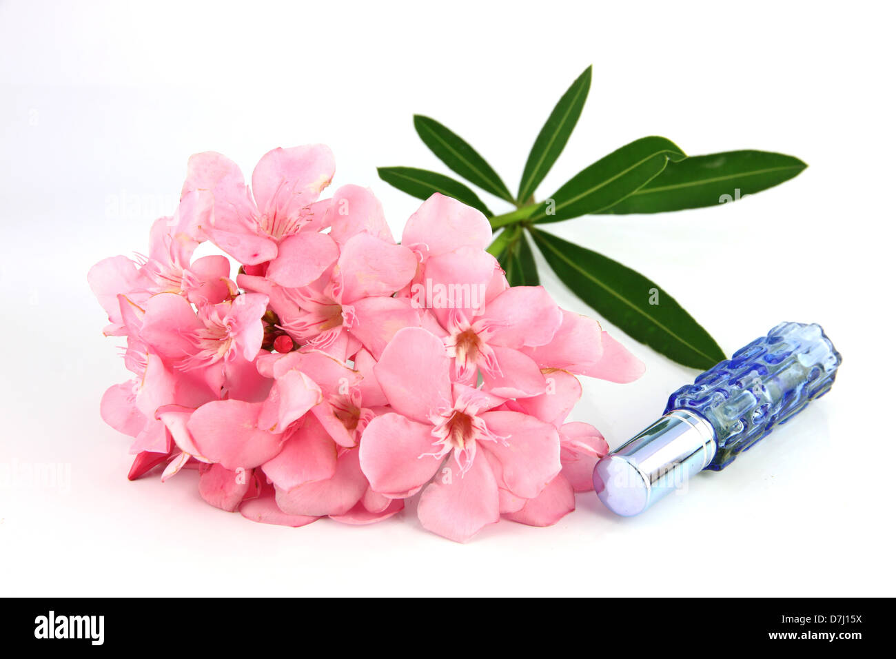 Bouquet di luce Fiori di colore rosa e azzurro bottiglie di profumo sullo sfondo bianco. Foto Stock