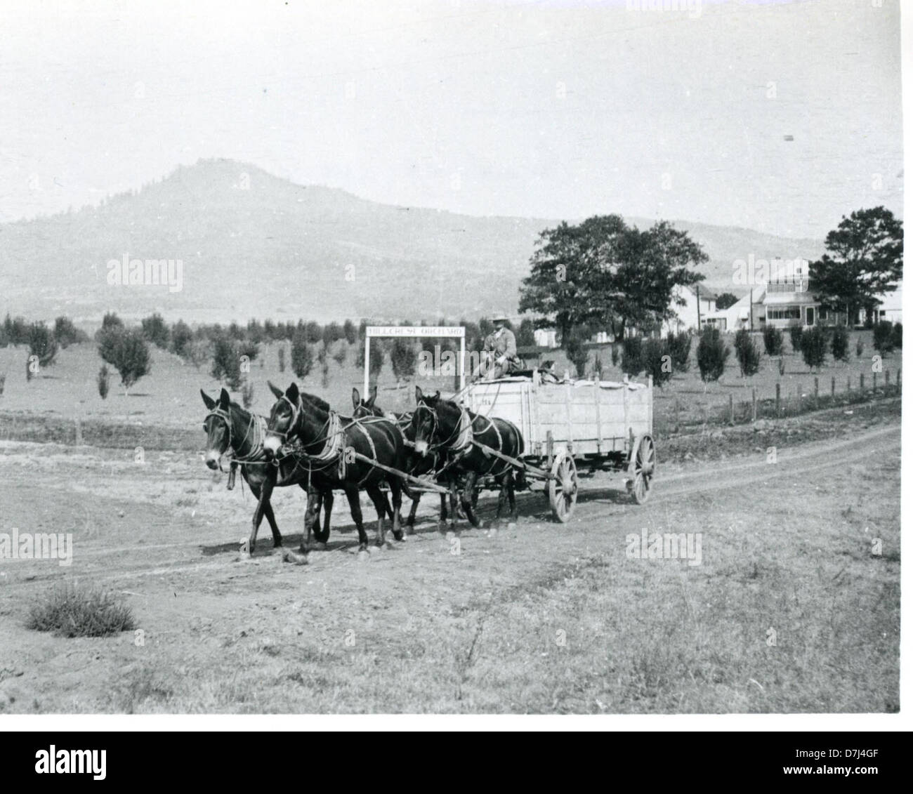 Carro trasporta frutta impaccata dalla casa di imballaggio per ferrovia, Hillcrest vicino Orchard Medford, Oregon Foto Stock