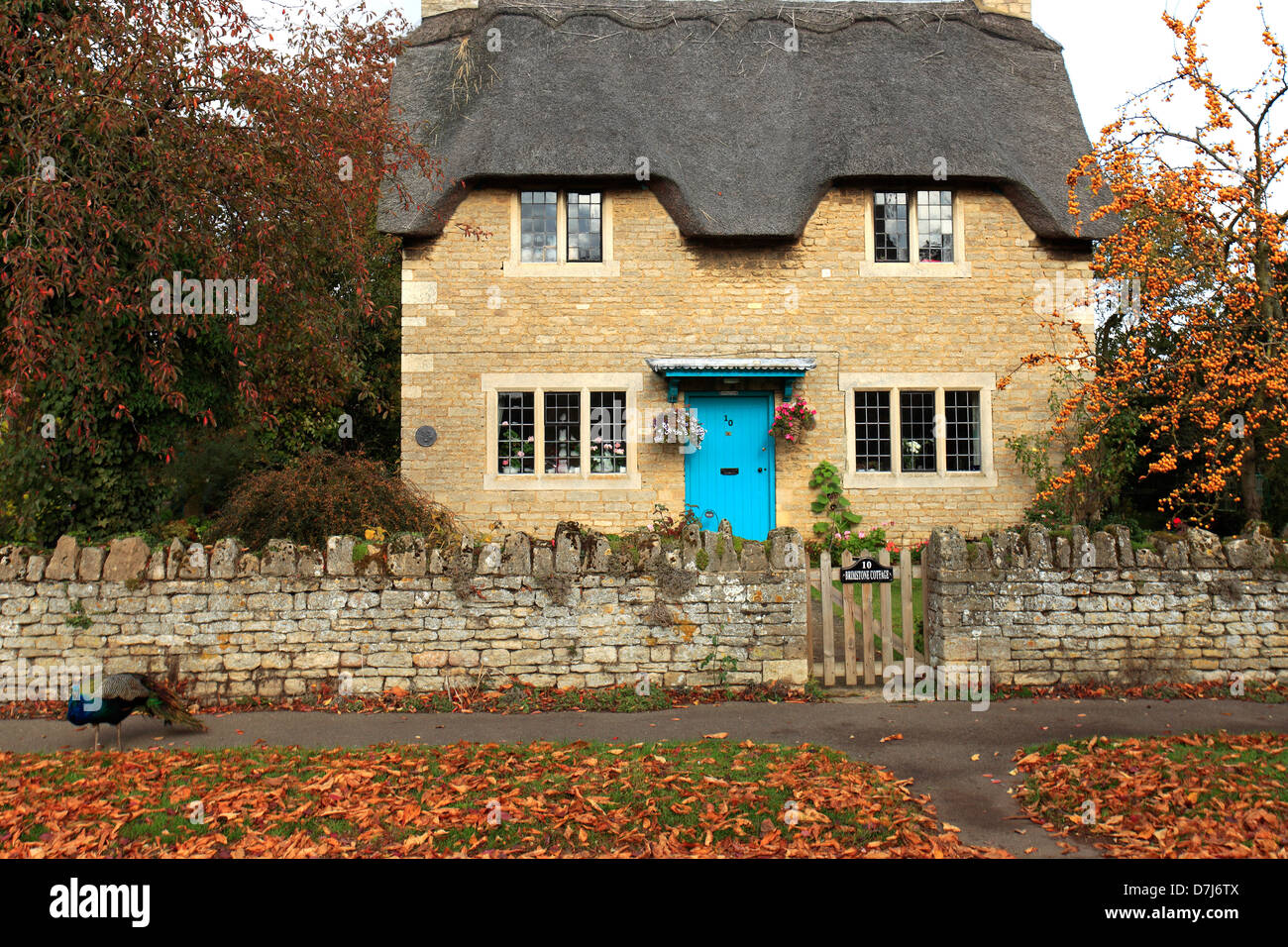 Cottage nel villaggio di Ashton, ( home del mondo campionato conker ) Northamptonshire county, England, Regno Unito Foto Stock