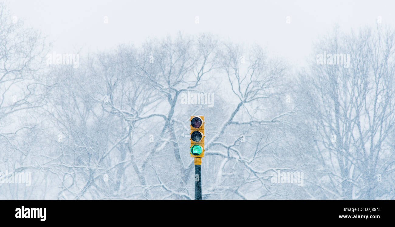 Stati Uniti d'America, New York New York City, semaforo verde con alberi d'inverno in background Foto Stock