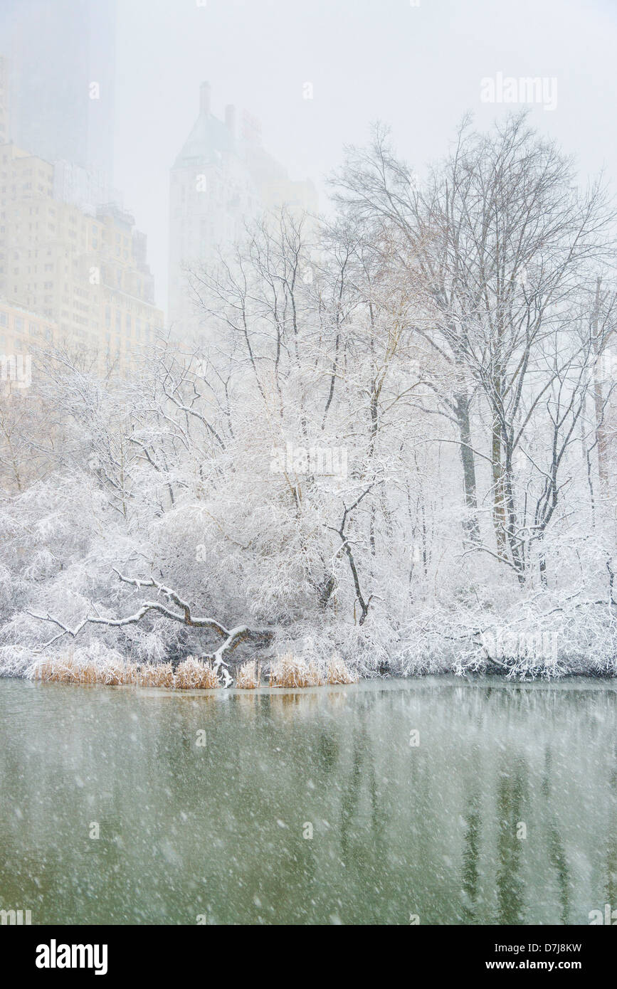 Stati Uniti d'America, New York New York City Central Park, lo stagno in inverno Foto Stock