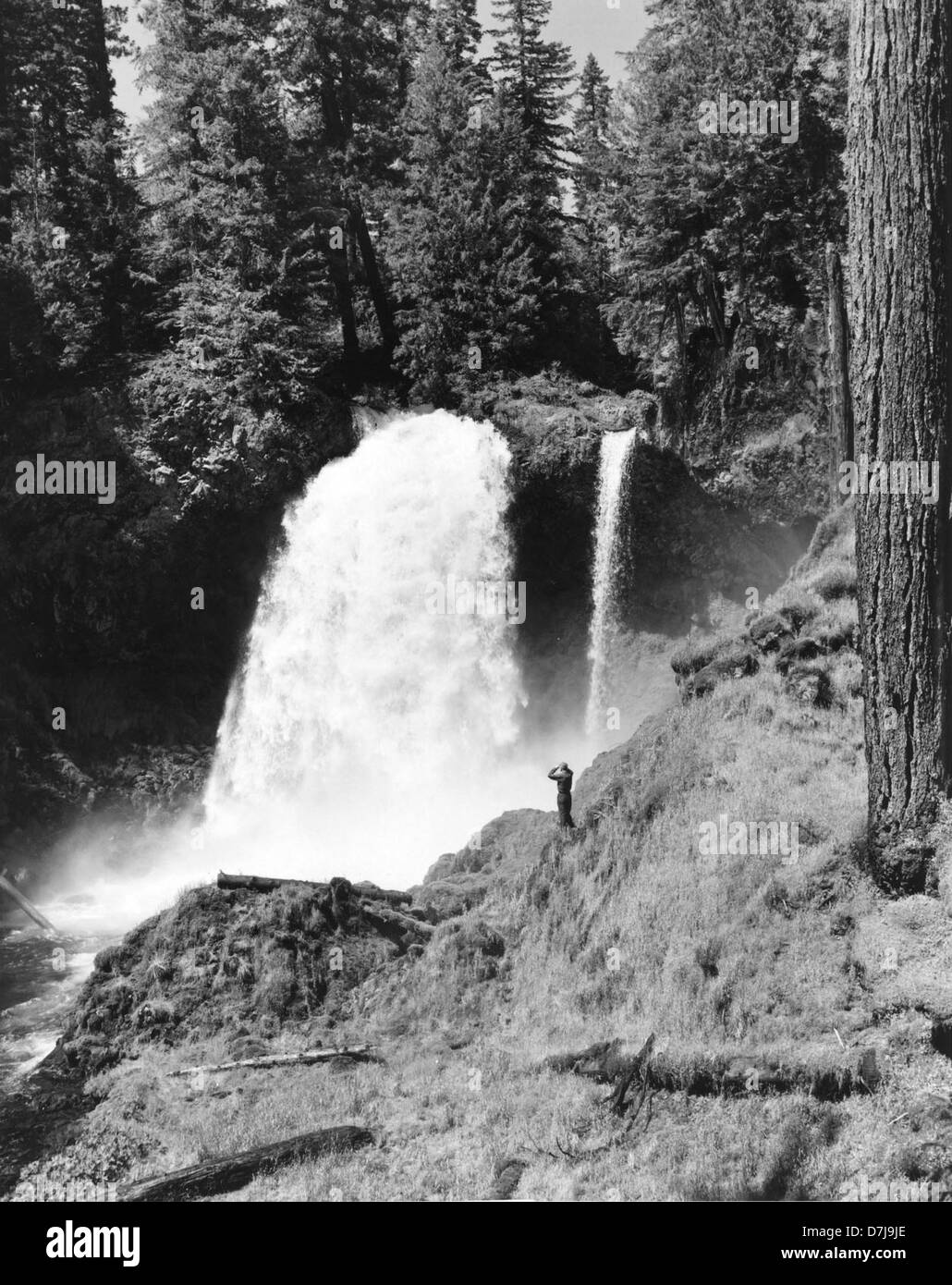 Sahalie Cade vicino alla sorgente del fiume McKenzie Foto Stock