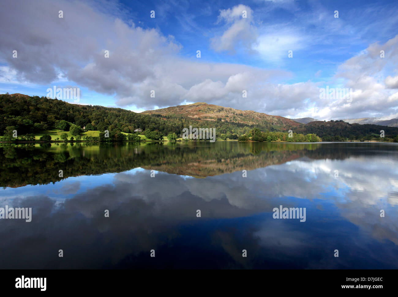 Riflessioni in Grasmere acqua, Parco Nazionale del Distretto dei Laghi, Cumbria County, Inghilterra, Regno Unito. Foto Stock