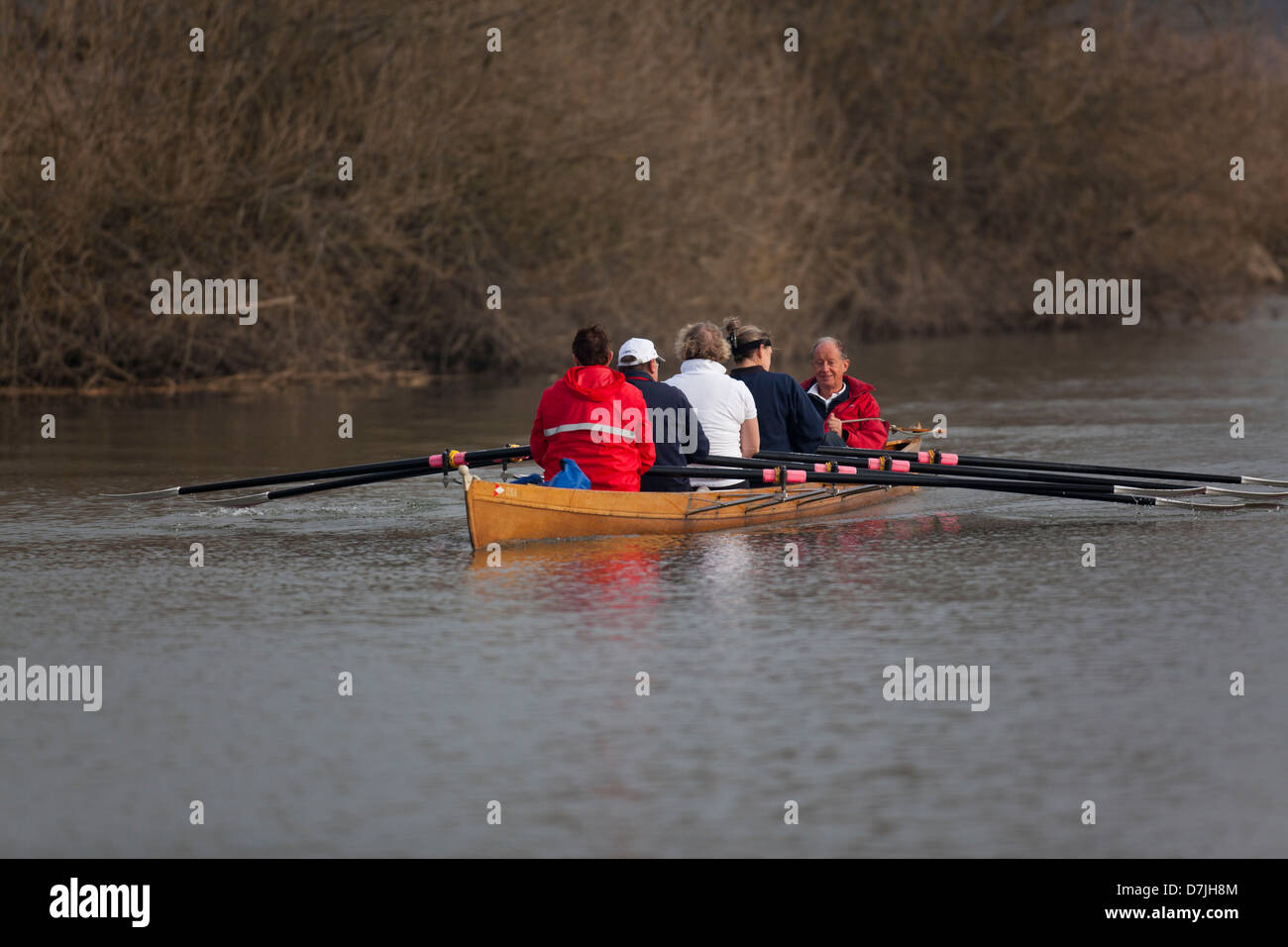Canoa a parco nazionale 'de Biesbosch' in Olanda Foto Stock