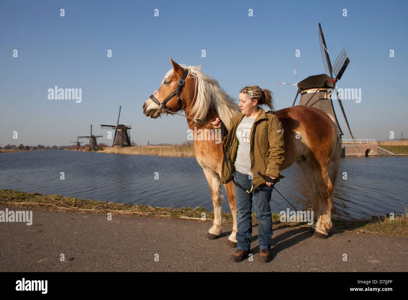 19 mulini a 'kinderdijk' vicino a Rotterdam Foto Stock