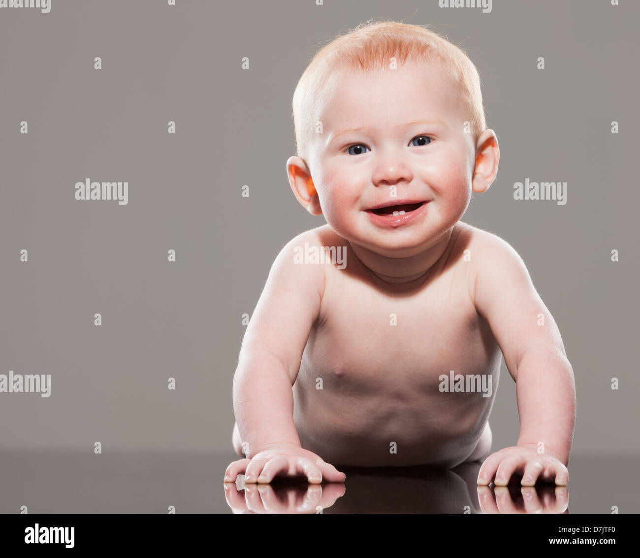 Studio shot di nuda baby boy (18-23 mesi) gattona Foto Stock
