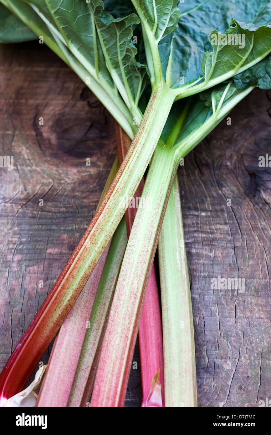 Rheum rhabarbarum. Appena raccolto il rabarbaro su una tavola di legno. Foto Stock