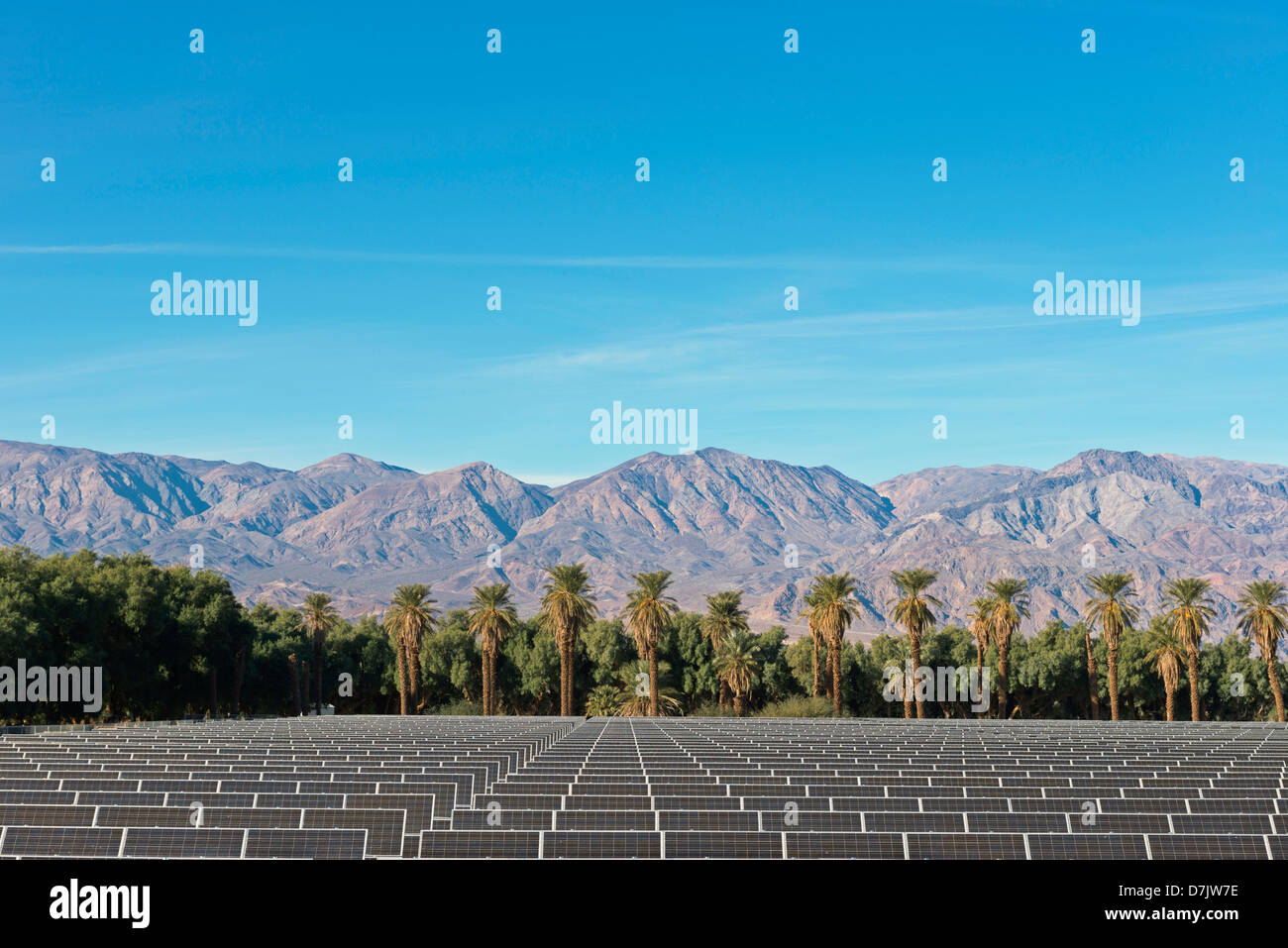 Stati Uniti, California, Solar Farm a valle della morte Foto Stock