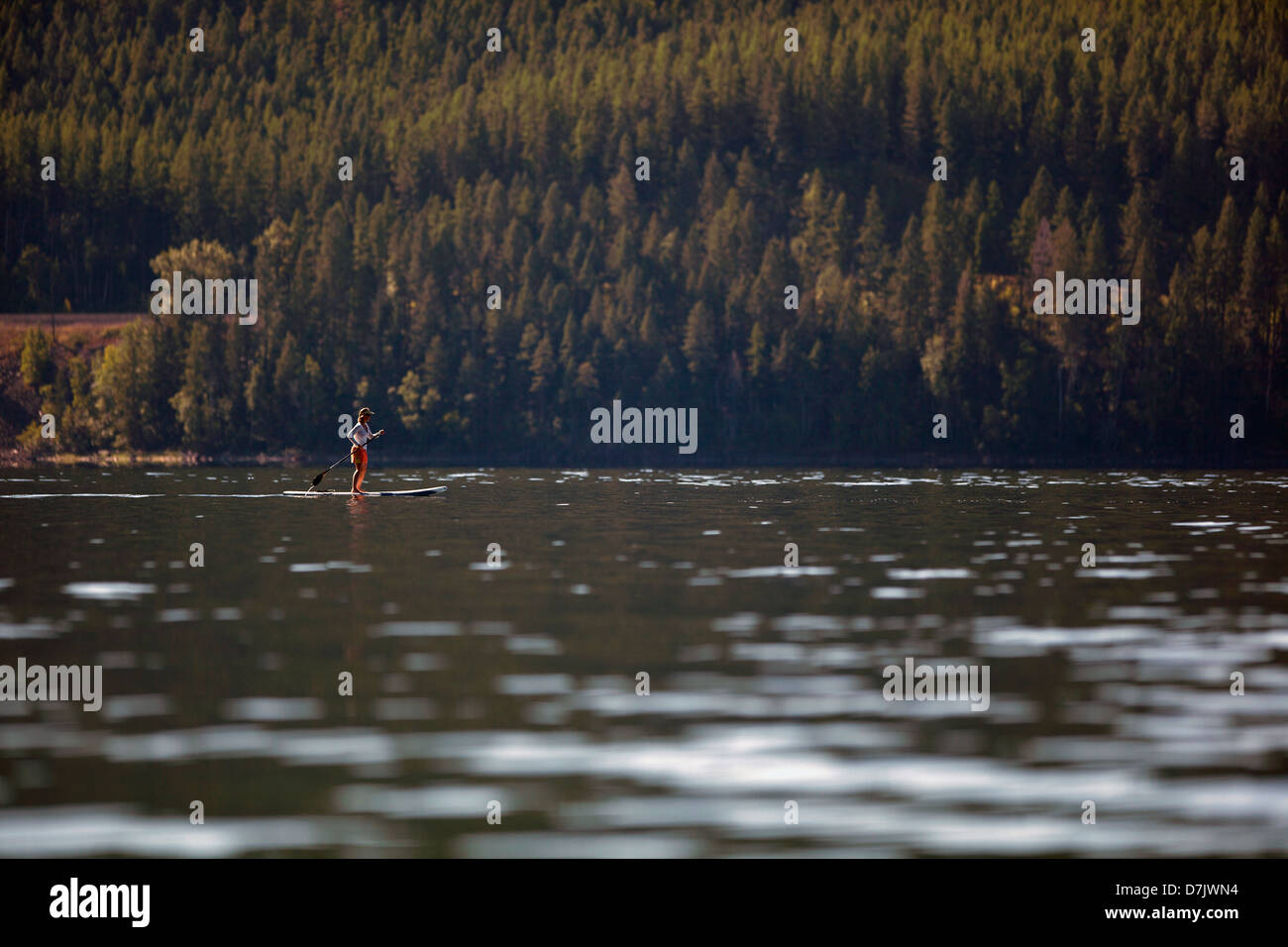 Stati Uniti d'America, Montana, coregoni Lago, Donna paddleboarding sul lago Foto Stock