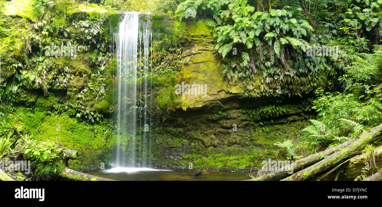 Vista di Koropuku Falls, una piccola cascata fuori dai sentieri battuti, sepolto all'interno della foresta pluviale Catlins Riserva, Otago, Nuova Zelanda Foto Stock