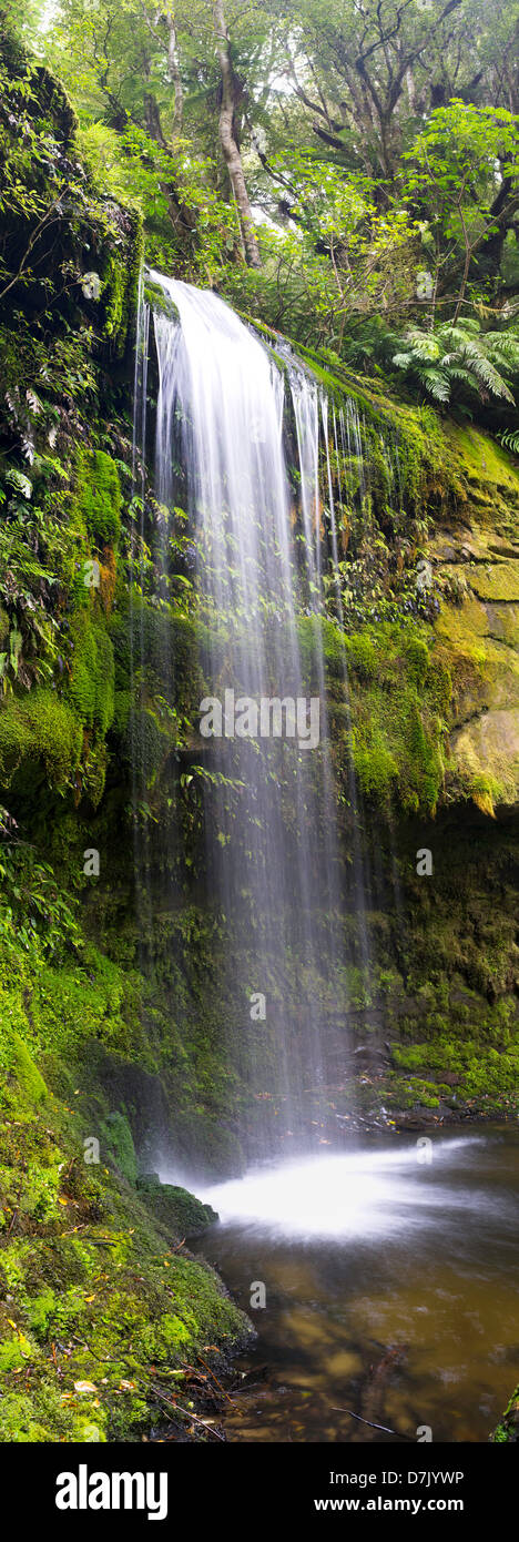 Vista di Koropuku Falls, una piccola cascata fuori dai sentieri battuti, sepolto all'interno della foresta pluviale Catlins Riserva, Otago, Nuova Zelanda Foto Stock