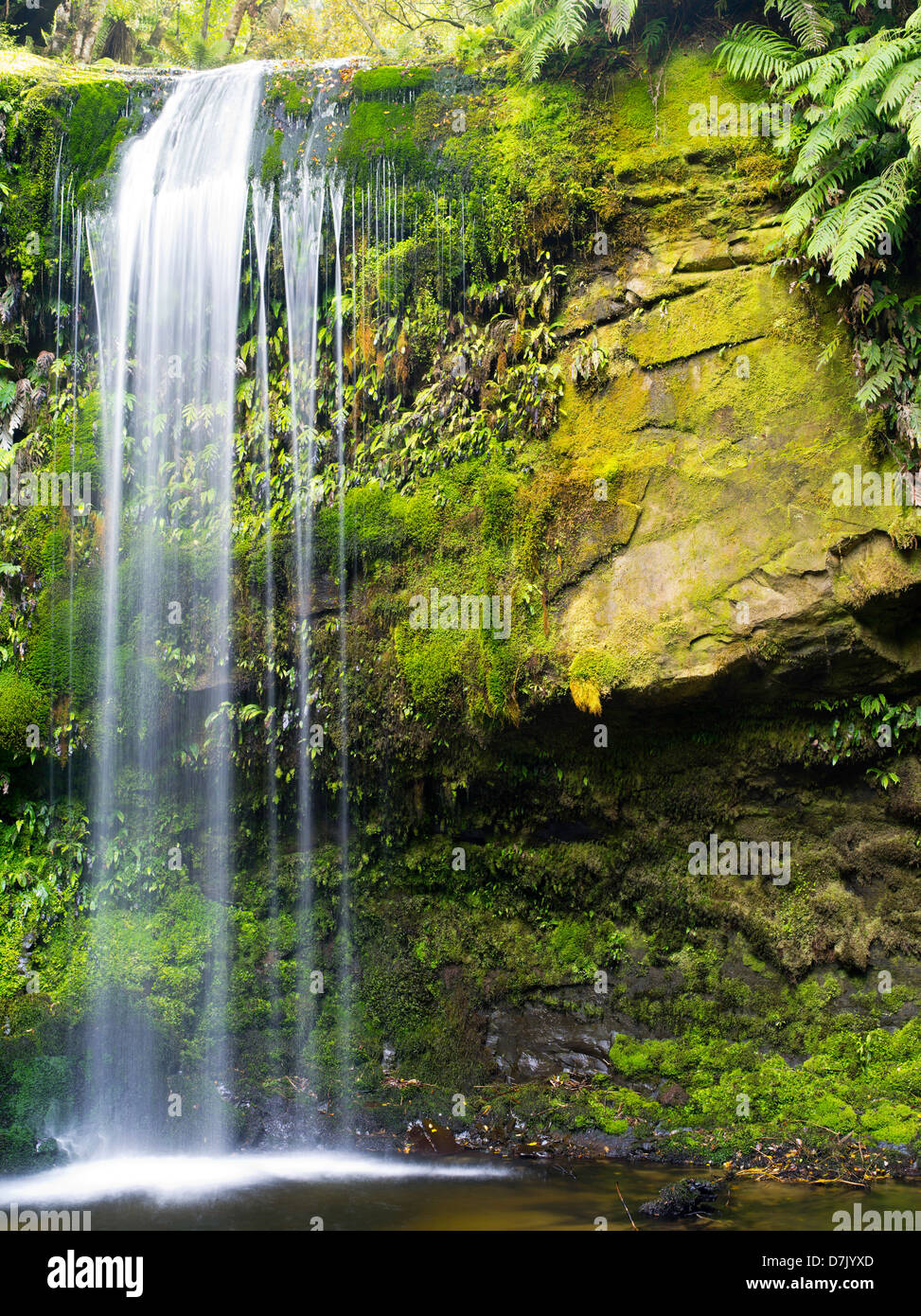 Vista di Koropuku Falls, una piccola cascata fuori dai sentieri battuti, sepolto all'interno della foresta pluviale Catlins Riserva, Otago, Nuova Zelanda Foto Stock