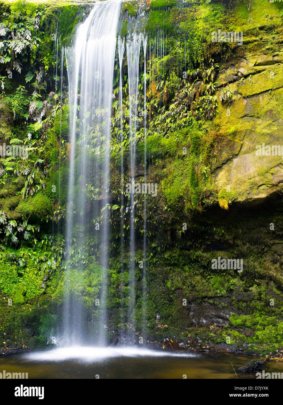 Vista di Koropuku Falls, una piccola cascata fuori dai sentieri battuti, sepolto all'interno della foresta pluviale Catlins Riserva, Otago, Nuova Zelanda Foto Stock