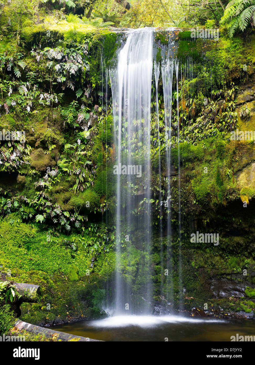 Vista di Koropuku Falls, una piccola cascata fuori dai sentieri battuti, sepolto all'interno della foresta pluviale Catlins Riserva, Otago, Nuova Zelanda Foto Stock