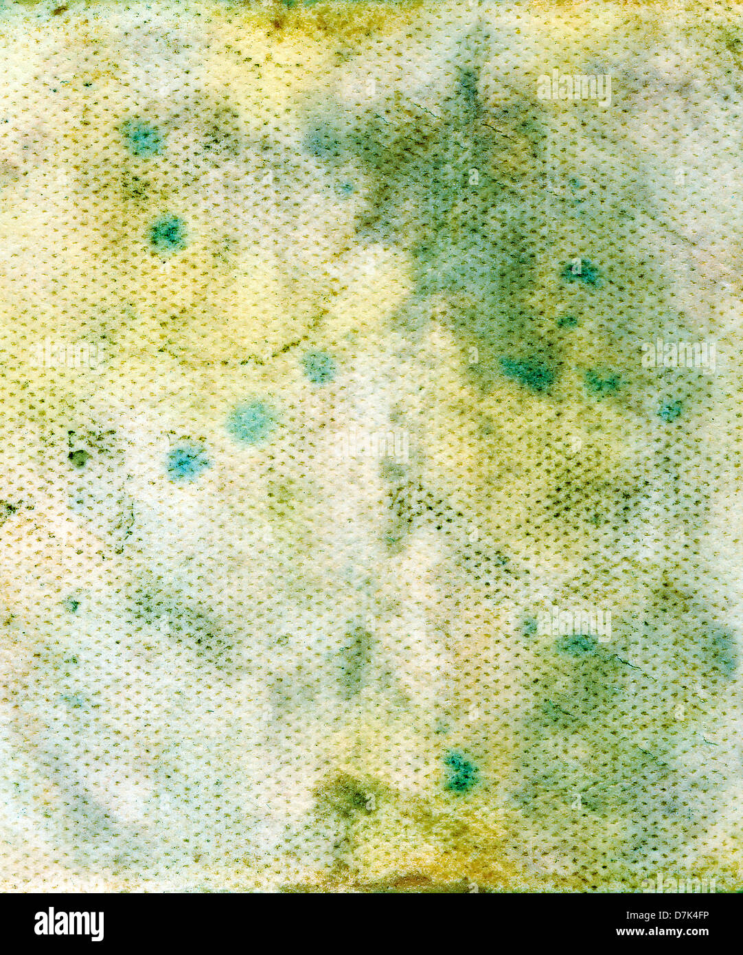 Grungy sfondo di muffa Foto Stock