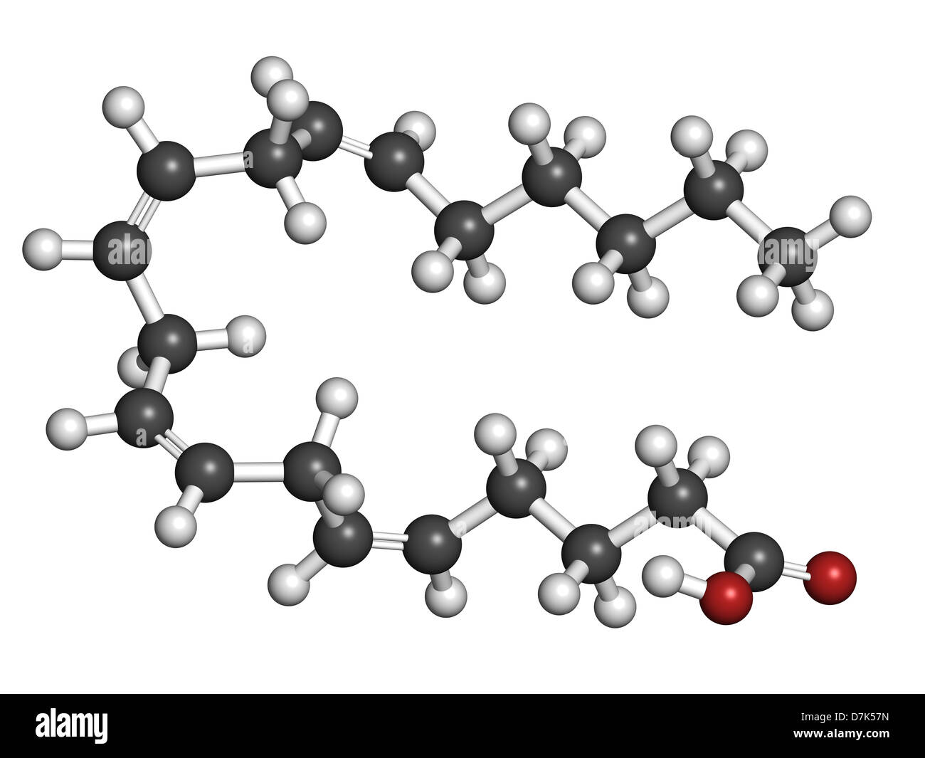 Acido arachidonico (AA, ARA) polinsaturo acido grasso omega-6, modello  molecolare. Gli atomi sono rappresentati come sfere Foto stock - Alamy