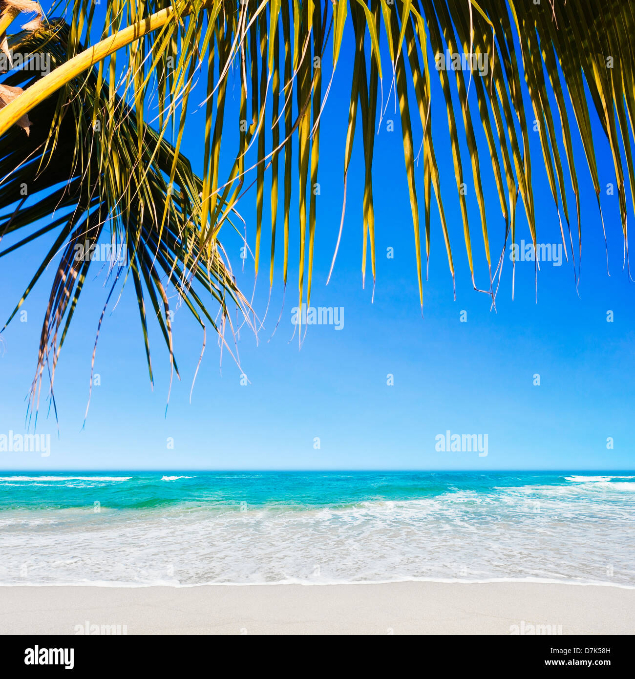 Tropical spiaggia di sabbia bianca di mattina. Composizione quadrata. Foto Stock