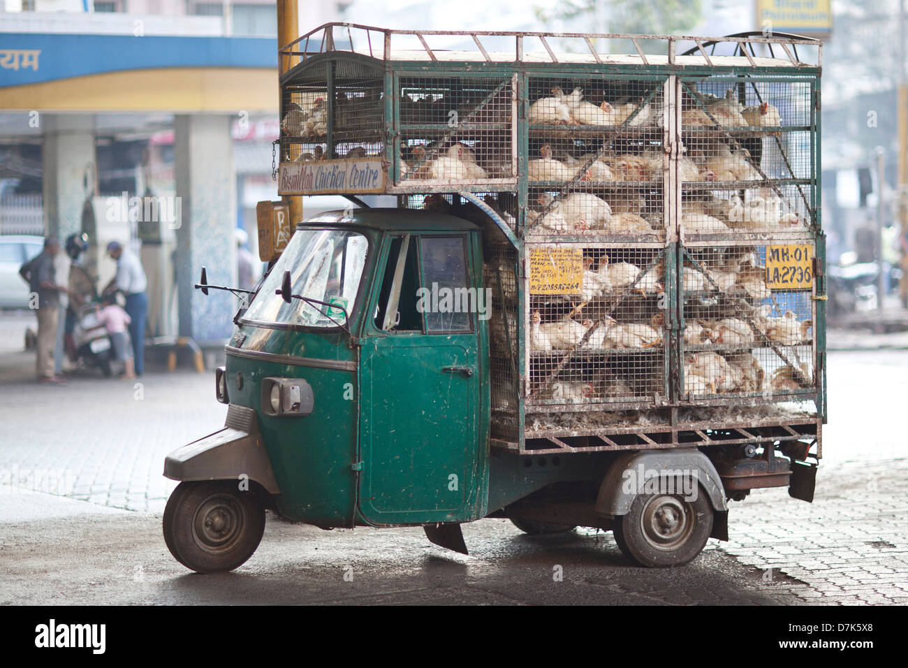 I polli vivi che viene erogata in Mumbai, India Foto Stock