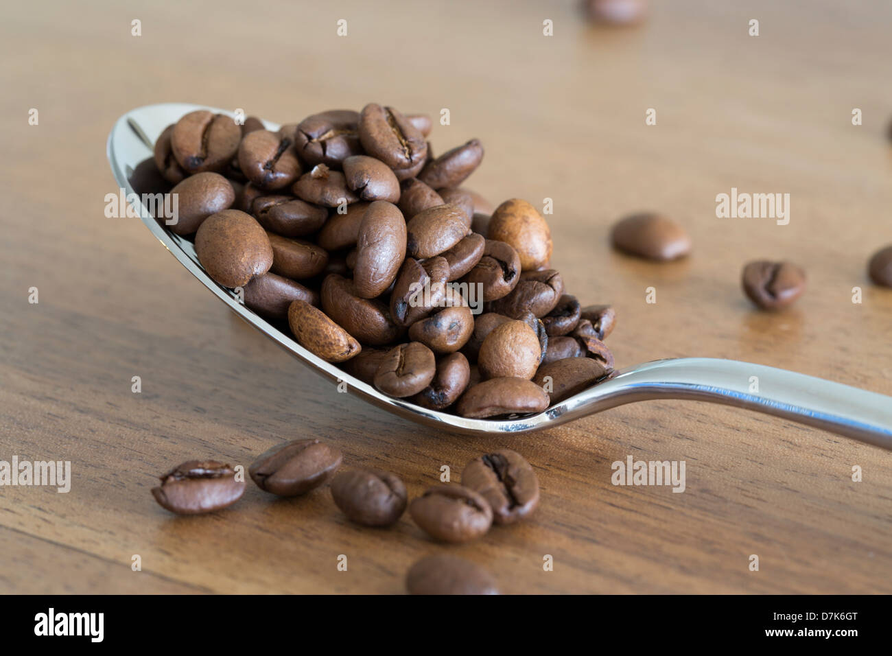 Una chiusura di un cucchiaio d'argento riempiti con i chicchi di caffè. Foto Stock