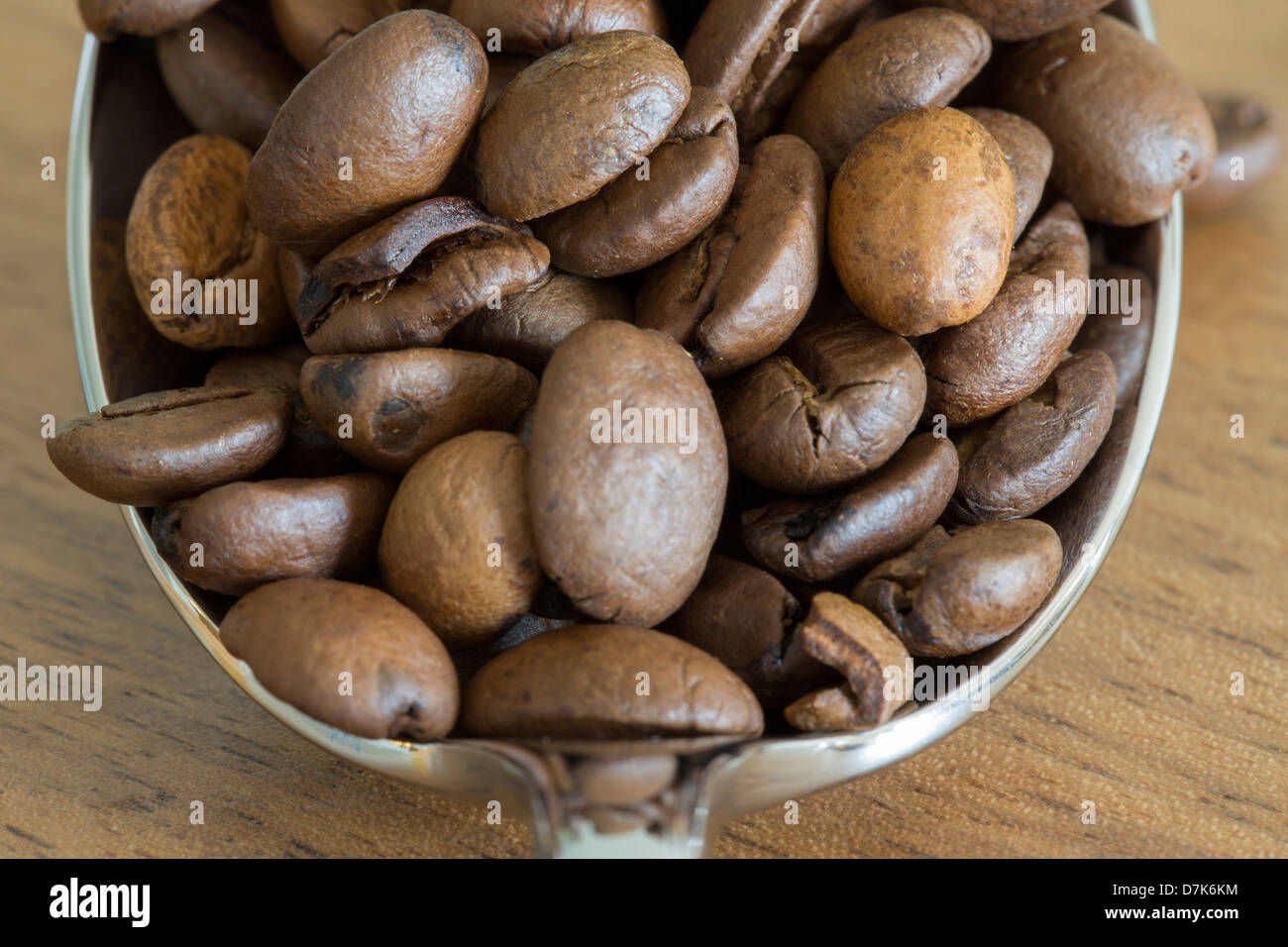 Una chiusura di un cucchiaio d'argento riempiti con i chicchi di caffè. Foto Stock