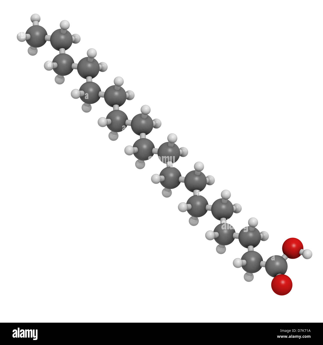 Acido stearico acido grasso saturo, modello molecolare. Gli atomi sono rappresentati come sfere convenzionale con codifica a colori Foto Stock
