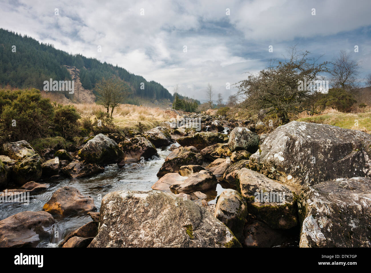 Massi di alto grado metamorfico gneiss e scisto nel fiume Owenboy, Ox montagne, nella contea di Sligo, Irlanda Foto Stock