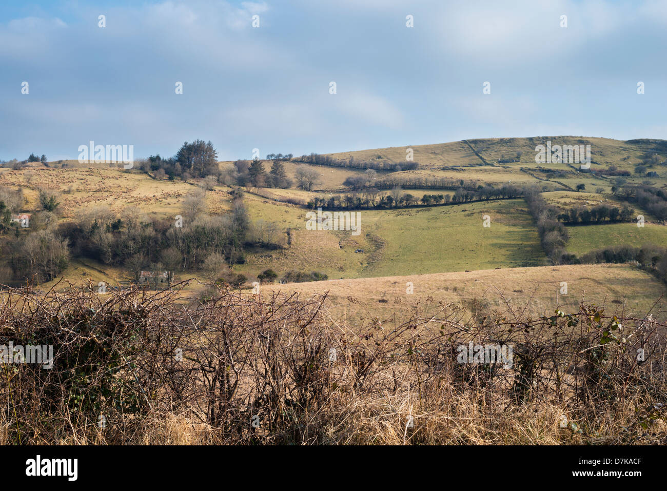 Il paesaggio hummocky vicino a Gurteen, West County Leitrim, è formata da drumlins nella valle tra le montagne rocciose Foto Stock