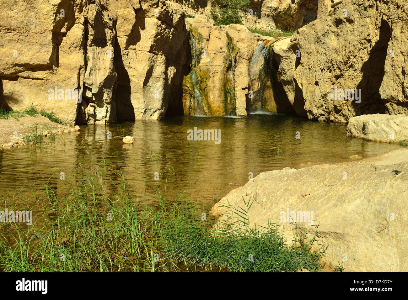 Oasis Tamerza nelle montagne vicino alla frontiera algerino, dove le oasi di montagna sono situati. A sud della Tunisia. Foto Stock