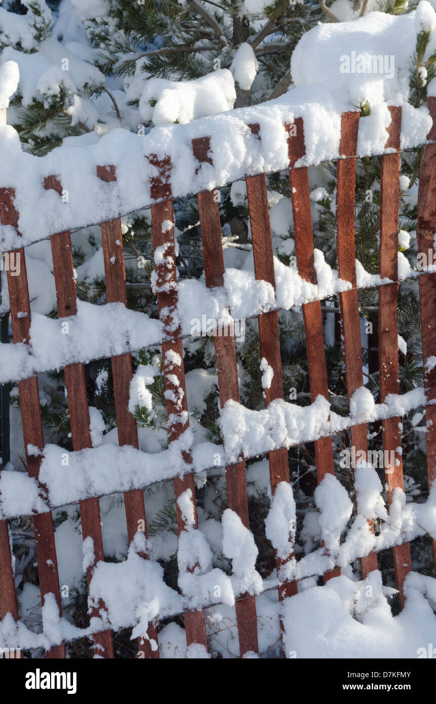 Un recinto utilizzato come un limite per gli animali diventa un'opera d'arte con neve fresca aggrappandosi ad esso nella luce del sole di mattina. Foto Stock