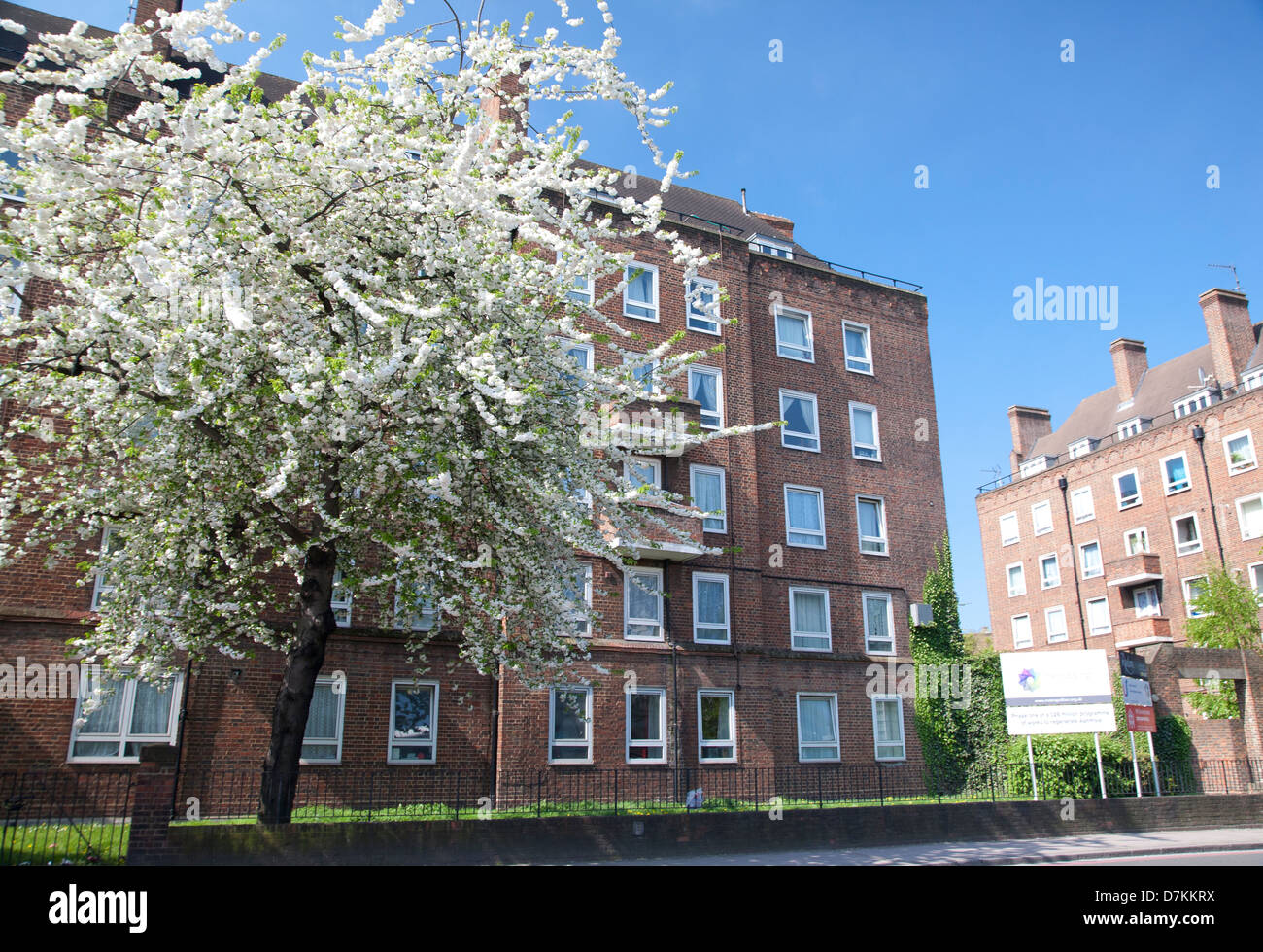 Blocchi di appartamenti vicino la Kia ovale, Kennington, London, England, Regno Unito Foto Stock