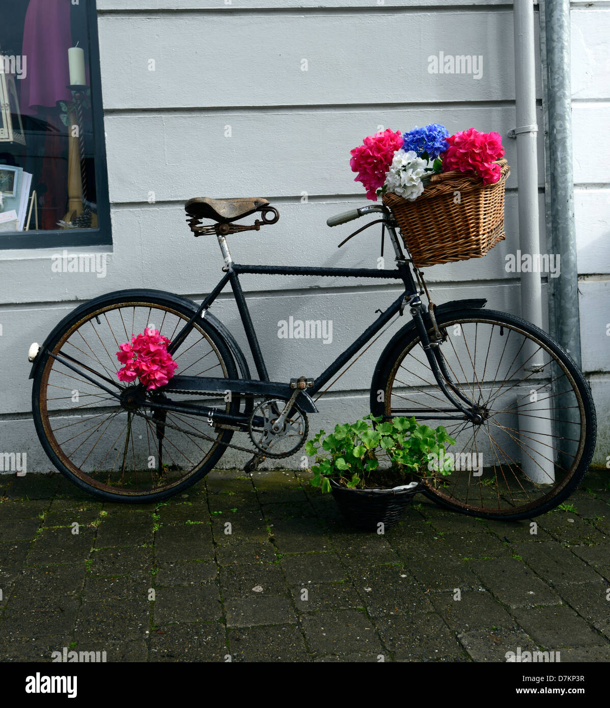 Old Style black bike bicicletta paniere fiori caratteristica di design ad alta nelly al di fuori del negozio dingle Ring of Kerry negozio di fronte al di fuori Foto Stock